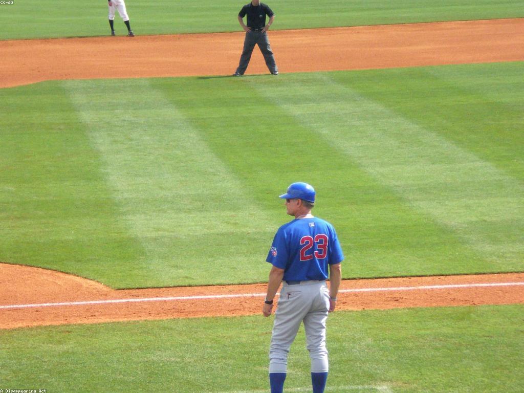 ជំនាញនៃកីឡា: ការអភិវឌ្ឍន៍និងការប្រែប្រួល