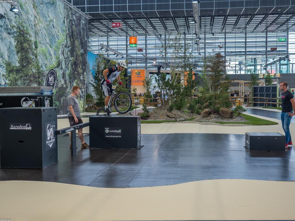 ការបង្កើតនិងជំនាញក្នុងកីឡា