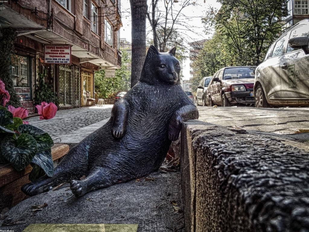 ព័ត៌មានថ្មីៗ និងការប្រកាសថ្មីៗក្នុងសង្គម